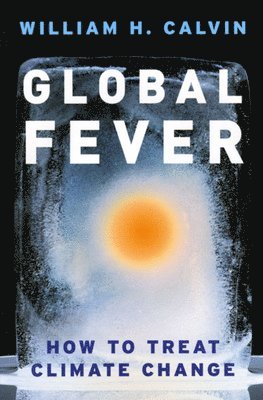 bokomslag Global Fever