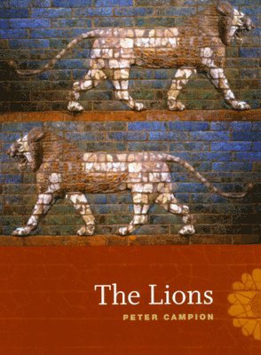 The Lions 1