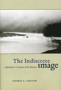 bokomslag The Indiscrete Image