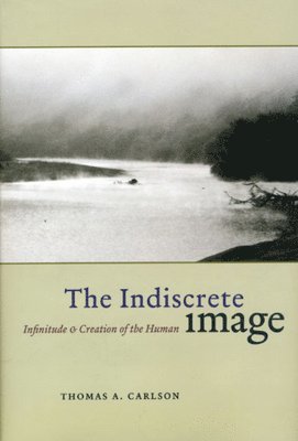 The Indiscrete Image 1