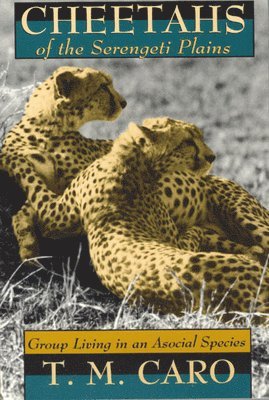 Tim Caro - Cheetahs of the Serengeti Plains, Häftad