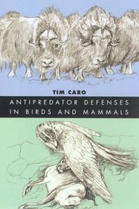 bokomslag Antipredator Defenses in Birds and Mammals