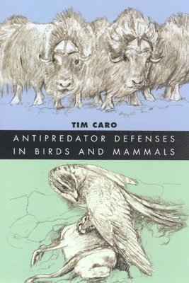 Antipredator Defenses in Birds and Mammals 1