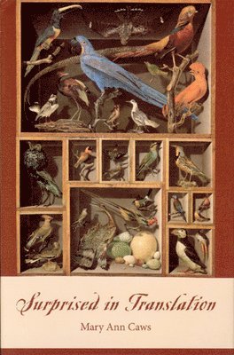 Mary Ann Caws - Surprised in Translation, Inbunden
