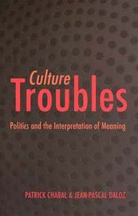 bokomslag Culture Troubles: Politics and the Interpretation of Meaning