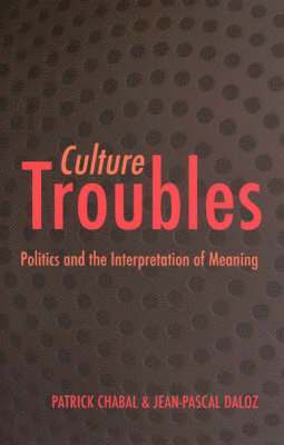 Patrick Chabal - Culture Troubles: Politics and the Interpretation of Meaning, Häftad