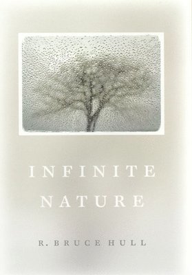 Infinite Nature 1