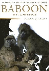 bokomslag Baboon Metaphysics