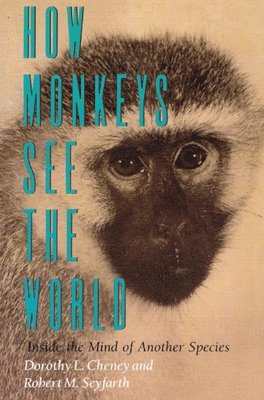 Dorothy L. Cheney, Robert M. Seyfarth - How Monkeys See the World, Häftad