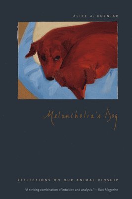 Melancholia's Dog 1