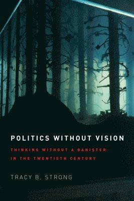 Politics without Vision 1