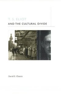 bokomslag T. S. Eliot and the Cultural Divide