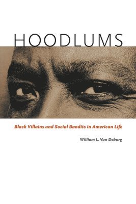 William L. Van Deburg - Hoodlums, Häftad
