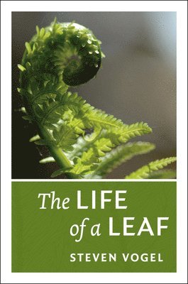 bokomslag The Life of a Leaf