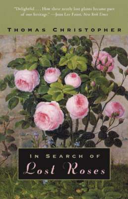 In Search of Lost Roses 1