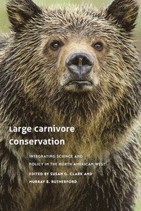 bokomslag Large Carnivore Conservation