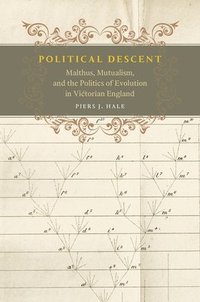 bokomslag Political Descent