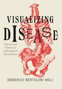 bokomslag Visualizing Disease