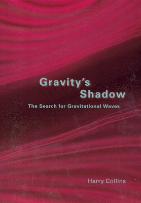 Gravity's Shadow 1