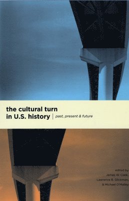The Cultural Turn in U.S. History: Past, Present, and Future