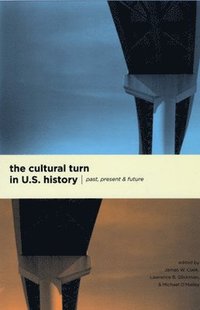 bokomslag The Cultural Turn in U. S. History