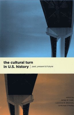 The Cultural Turn in U. S. History 1