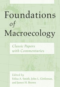 bokomslag Foundations of Macroecology