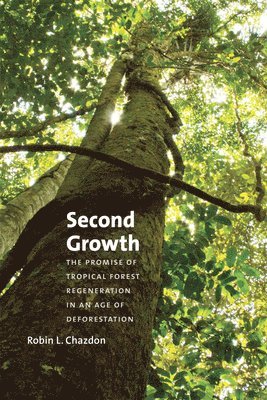 Robin L. Chazdon - Second Growth, Häftad