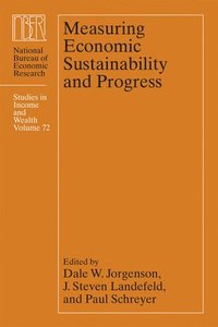 bokomslag Measuring Economic Sustainability and Progress