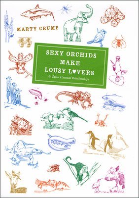 Sexy Orchids Make Lousy Lovers 1