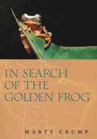 bokomslag In Search of the Golden Frog