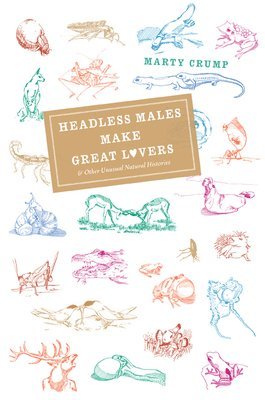 Headless Males Make Great Lovers