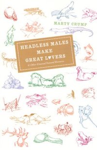 bokomslag Headless Males Make Great Lovers