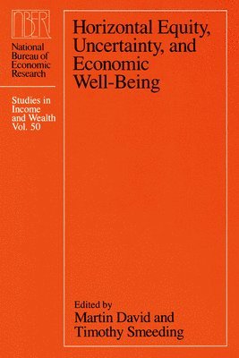 bokomslag Horizontal Equity, Uncertainty, and Economic Well-being