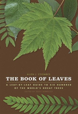 bokomslag The Book of Leaves: A Leaf-By-Leaf Guide to Six Hundred of the World's Great Trees