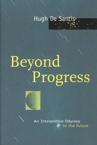 bokomslag Beyond Progress