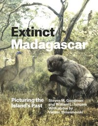 bokomslag Extinct Madagascar