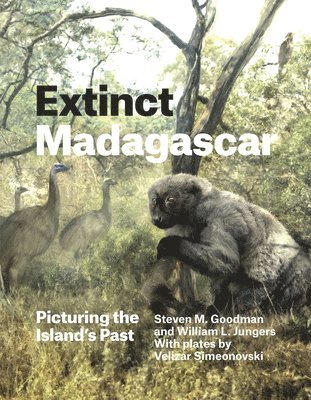Steven M. Goodman, William L. Jungers - Extinct Madagascar, Inbunden