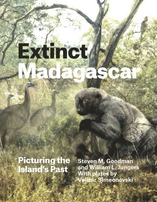 Extinct Madagascar 1