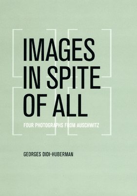 Images in Spite of All 1