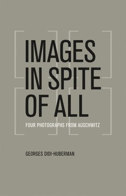 Georges Didi-Huberman - Images in Spite of All, Häftad