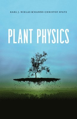 Plant Physics 1