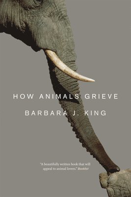 bokomslag How Animals Grieve