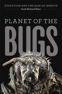bokomslag Planet of the Bugs