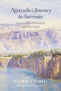 bokomslag Nietzsche's Journey to Sorrento