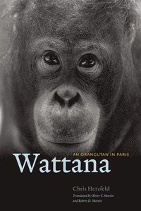 bokomslag WATTANA