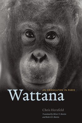 bokomslag Wattana: An Orangutan in Paris
