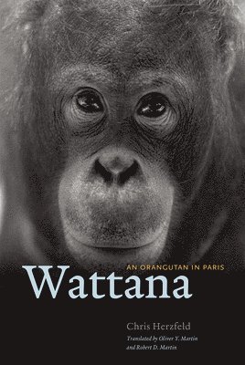 Wattana 1