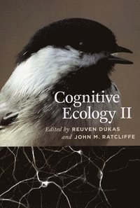 bokomslag Cognitive Ecology II