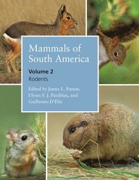 bokomslag Mammals of South America, Volume 2